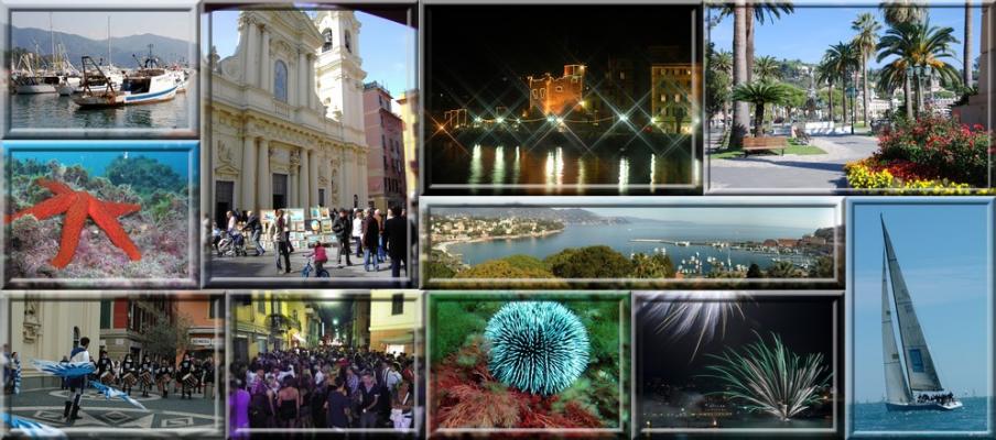 Header_Gallery01.jpg Header_Gallery01.jpg